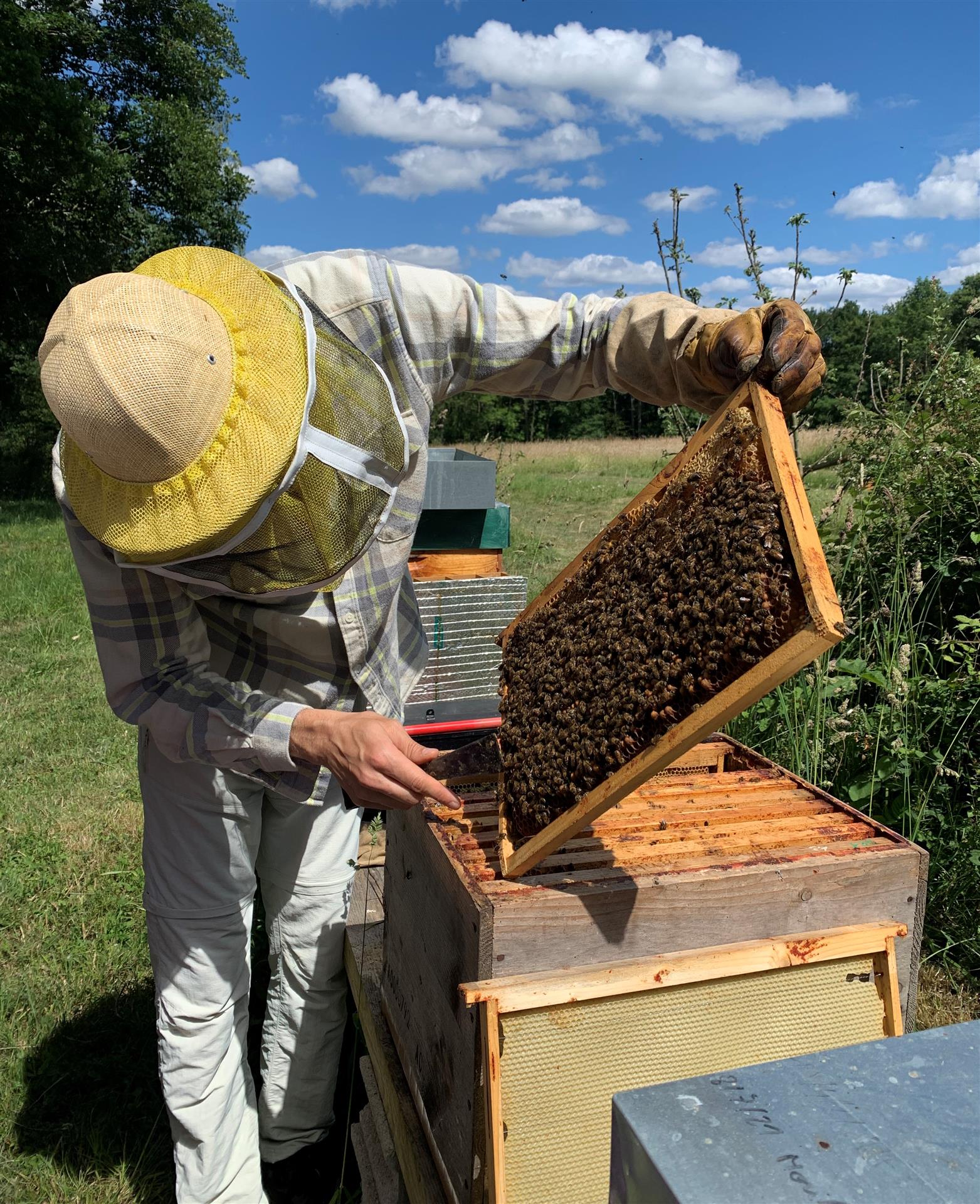 A la rencontre de Benoit Petruzzella, notre apiculteur local